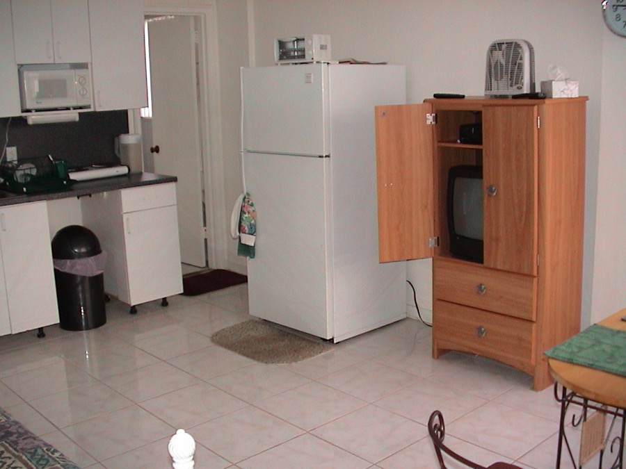 A condo kitchen before renovation